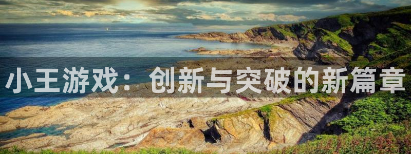 银河(galaxy)集团公司怎么样：小王游戏：创新与突破的新篇章