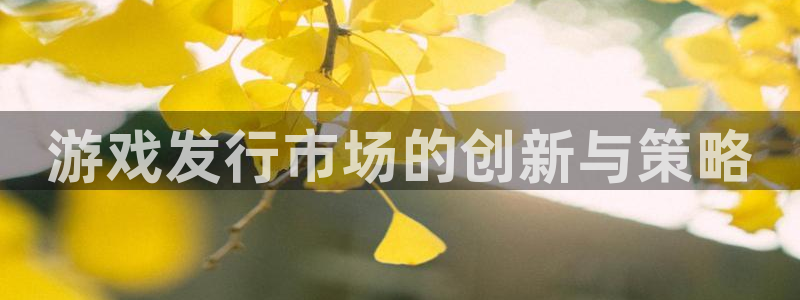 银河(galaxy)子文化是什么