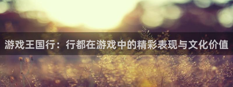 银河(galaxy)子文化有什么游戏：游戏王国行：行都在游戏中的精彩表现与文化价值